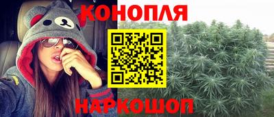 крисы Будённовск