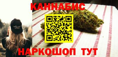 крисы Будённовск