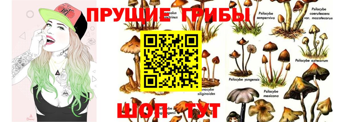 Рыбинск  Галлюциногенные грибы прущие грибы  где продают наркотики  Вход с VPN 