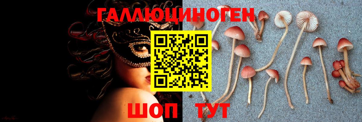 Псилоцибиновые грибы Psilocybe Рыбинск
